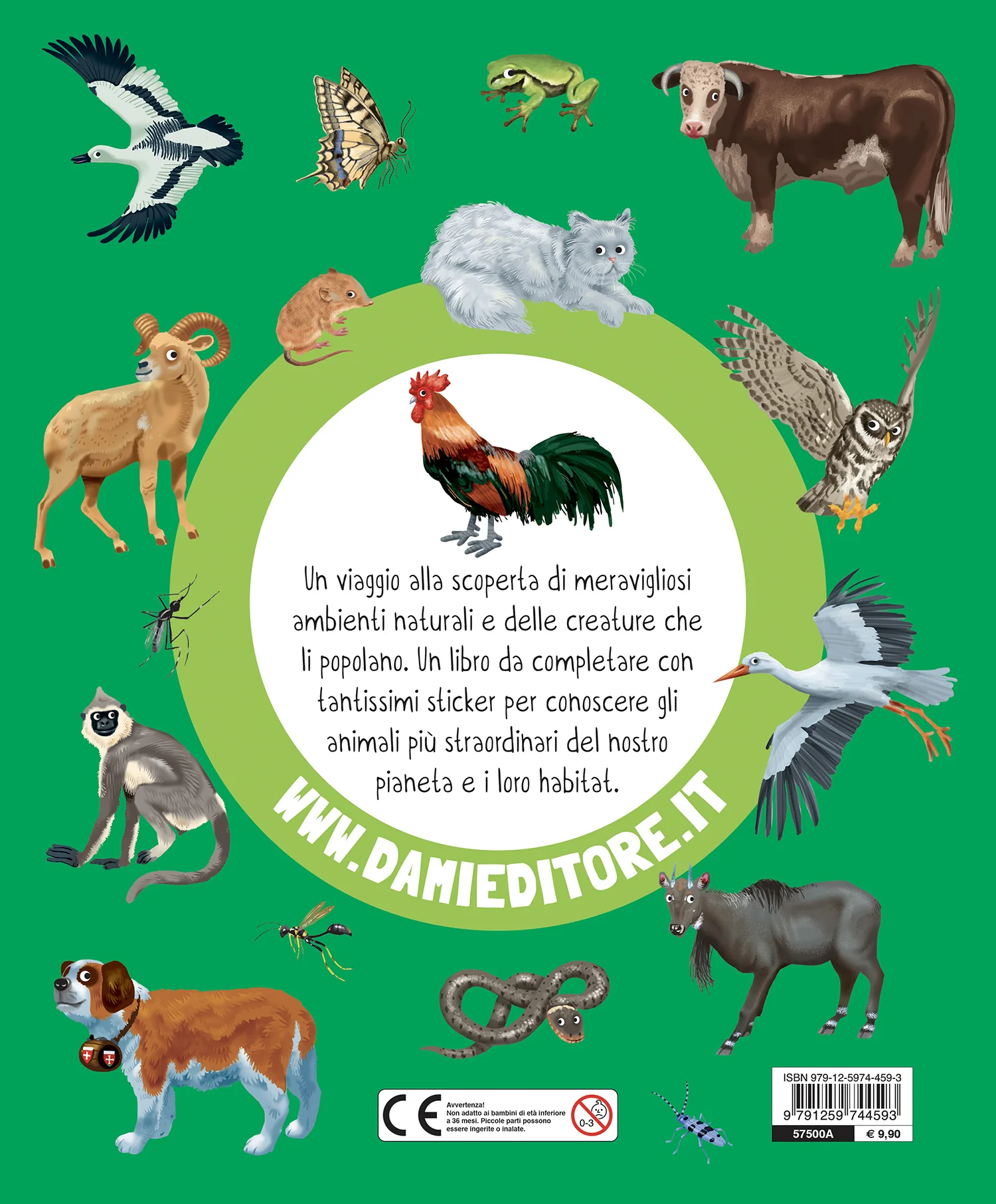 Immagine prodotto 2