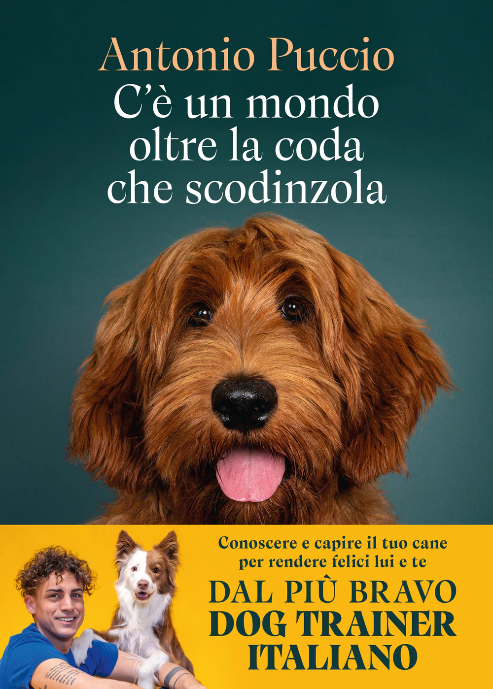 Immagine prodotto 1